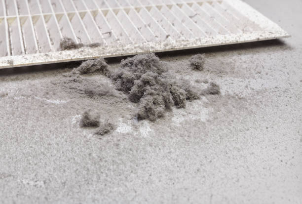 Best Dryer Vent Cleaning Services  in Louisville, NE