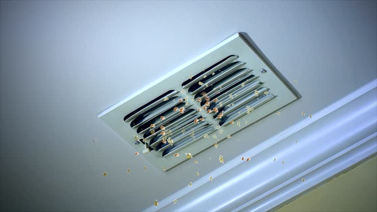 Best Home Air Vent Cleaning  in Louisville, NE
