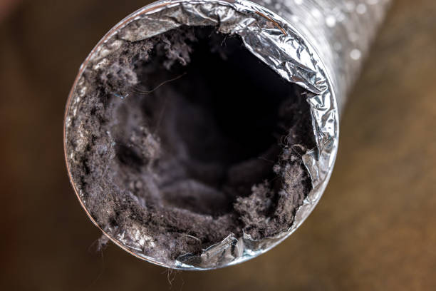 Best HVAC Duct Inspection Services  in Louisville, NE